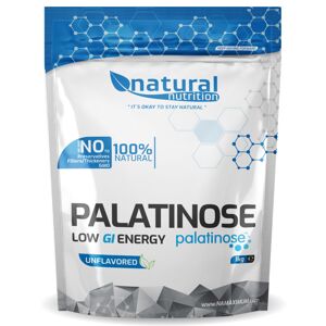 Palatinose GI32 Natural 1kg