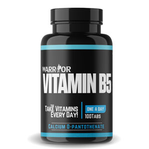 Vitamin B5 tablety 100 tab